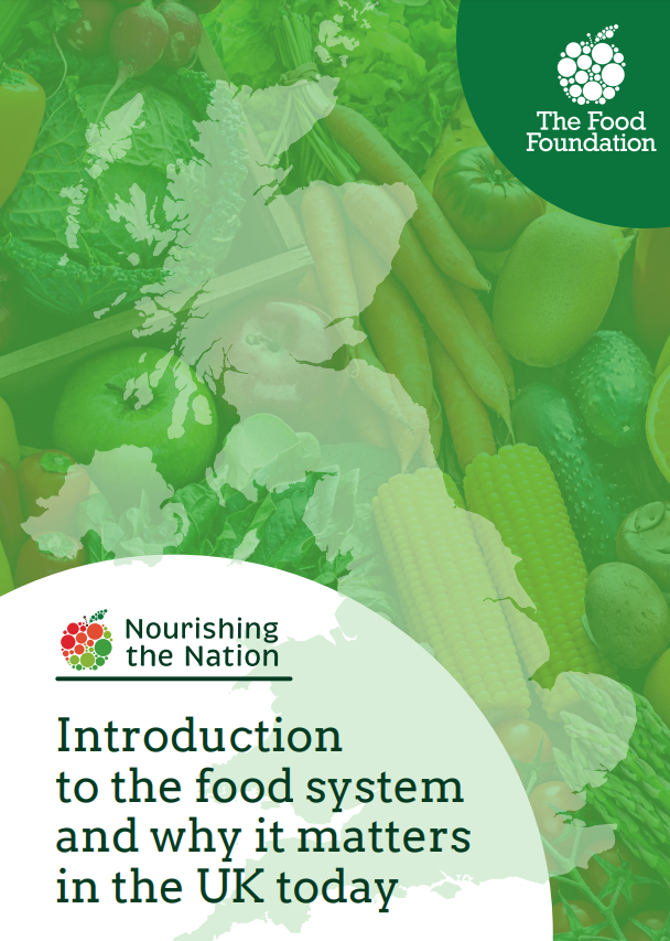 Reproducción total de la portada del documento 'Introduction to the food system and why it matters in the UK today (Food Foundation, 2024)'