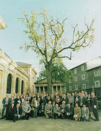 Arbol de Gernika