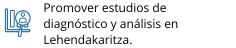 Promover estudios de diagnóstico y análisis en Lehendakaritza.