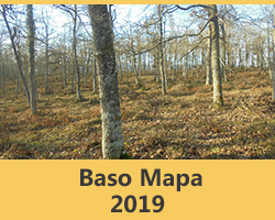 Mapa Forestal 2019