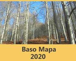 Baso Mapa 2020