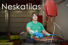 Neskatilas