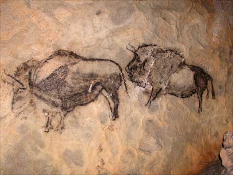 Bisontes