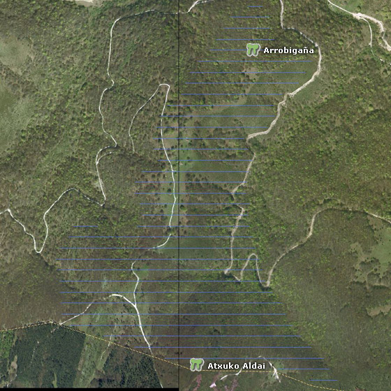 Aratz-Alsasuako mapa orokorra