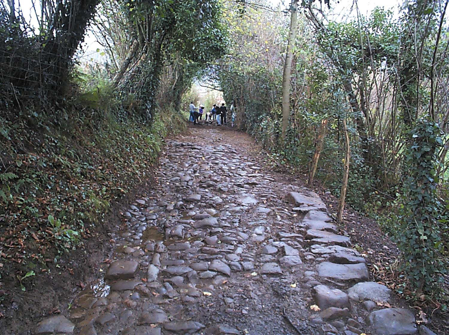 Antigua vía romana Pisoraca-Flaviobriga