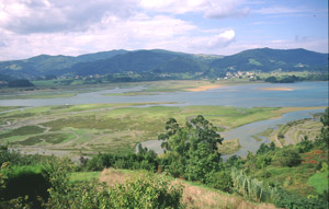 Marismas de Urdaibai