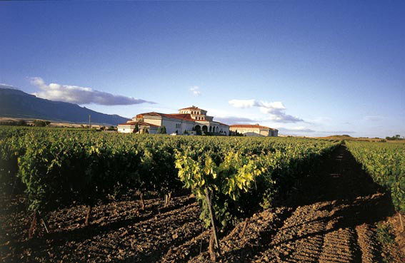 Bodega Campillo