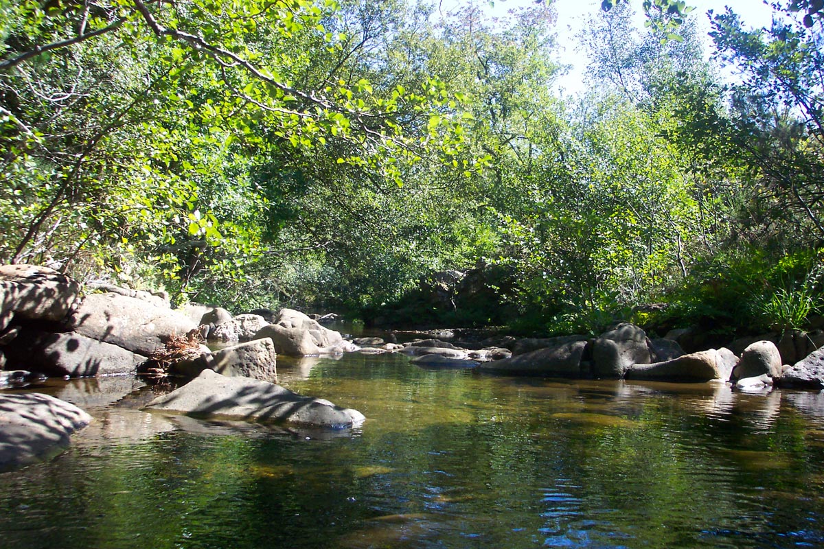 Río Baias