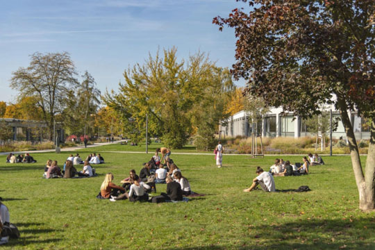 Selección de un lector o lectora de lengua y cultura vasca: Universidad Freie de Berlín (2025)